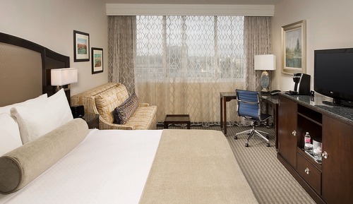 Standard Room, 1 King Bed with Sofa bed (Mobility/Hearing Access, Roll-in Shwr)