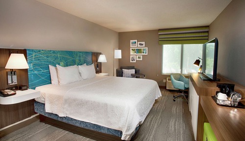 Room, 1 King Bed, Non Smoking