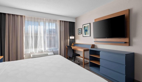 Room, 1 King Bed, Accessible, Non Smoking (Roll-in Shower)