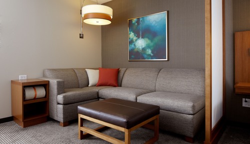 Standard 1 King Bed with Sofa Bed