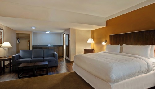 Room, 1 King Bed