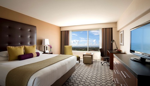 Room, 1 King Bed