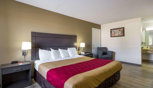 Standard Room, 1 King Bed, Smoking