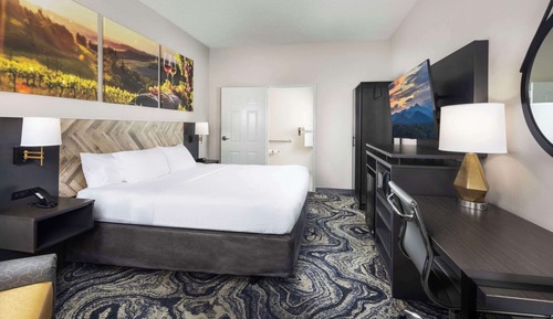 Room, 1 King Bed, Accessible, Non Smoking