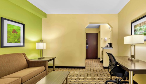 Suite, 1 King Bed, Non Smoking, Refrigerator & Microwave (with Sofabed)