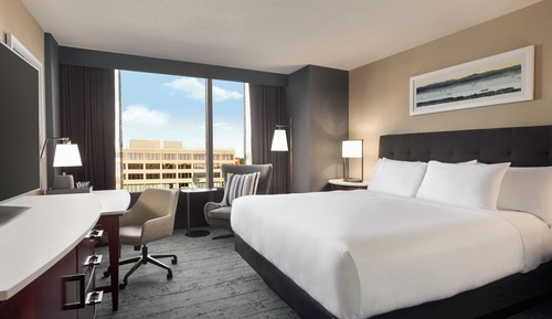 Room, 1 King Bed