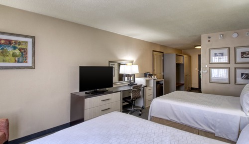 Standard Room, 1 Twin Bed, Accessible (Communications, Roll-In Shower)