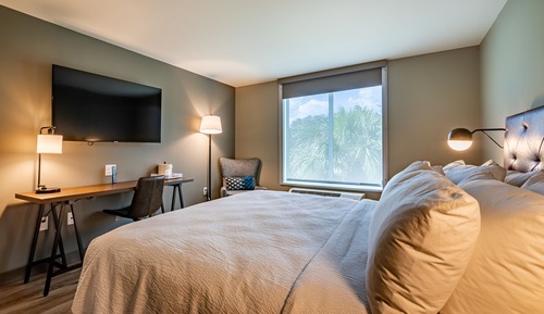 Room, 1 King Bed