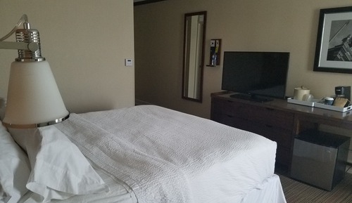 Room, 1 King Bed