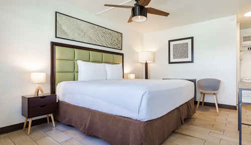 Room, 1 King Bed, Garden View