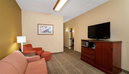 Deluxe Suite, 1 King Bed with Sofa bed, Non Smoking (Suite)