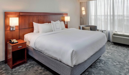 Room, 1 King Bed with Sofa bed, Non Smoking (Mobility/Hearing Access, Roll-In Shwr)