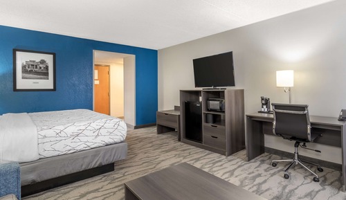 Standard Room, 1 King Bed, Non Smoking, Refrigerator & Microwave (with Single Sofabed;Larger Room)