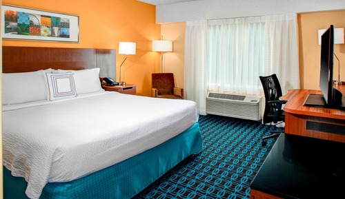 Room, 1 King Bed, Non Smoking (Mobility Accessible, Roll-in Shower)