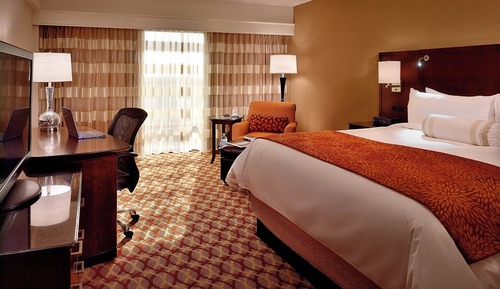 Room, 1 King Bed