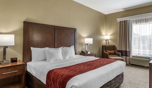 Standard Room, 1 King Bed, Non Smoking