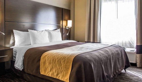 Suite, 1 King Bed, Non Smoking