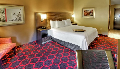 Room, 1 King Bed, Accessible, Bathtub (Mobility & Hearing)