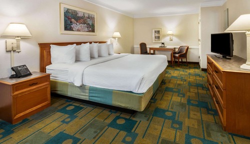 Room, 1 King Bed, Non Smoking
