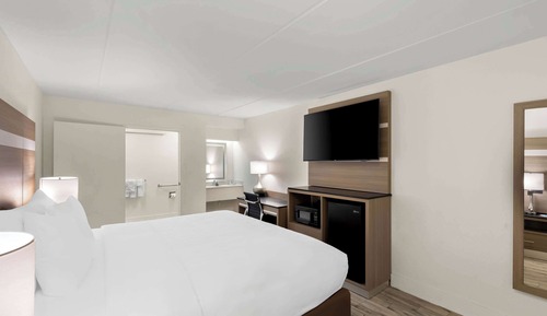 Standard Room, 1 King Bed, Non Smoking