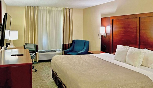 Standard Room, 1 King Bed, Non Smoking