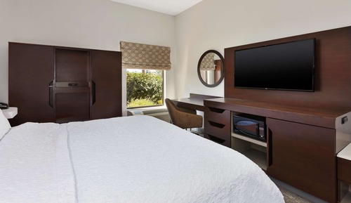 Room, 1 King Bed, Accessible, Non Smoking