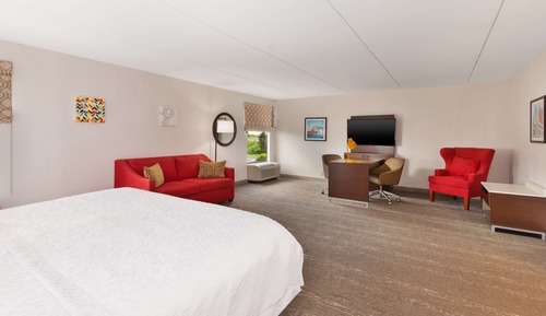 Suite, 1 King Bed, Non Smoking