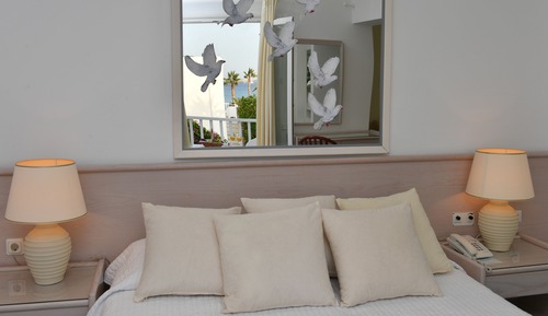Superior Suite, Garden View