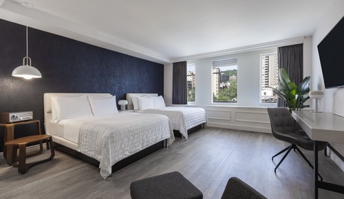 Deluxe Double or Twin Room
