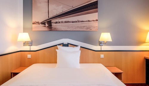 Comfort Single Room, 1 Queen Bed