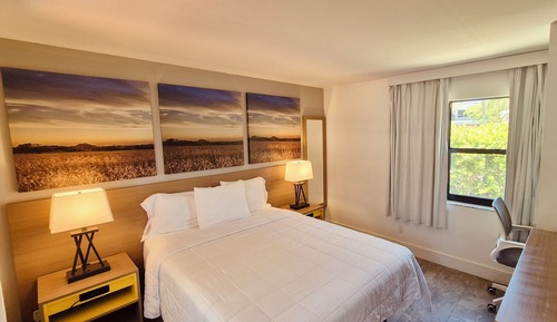 Standard Single Room, 1 Queen Bed, Non Smoking