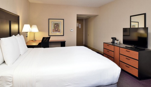 Standard Room, 1 King Bed, Non Smoking