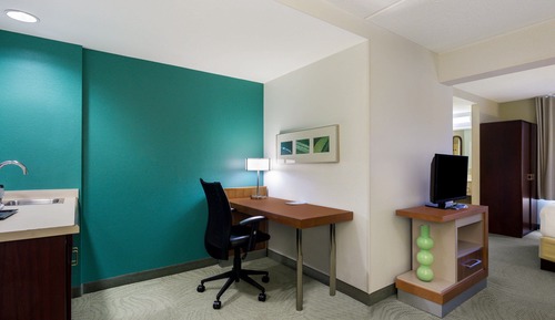 Studio, 1 King Bed with Sofa bed (Mobility Accessible, Roll-In Shower)