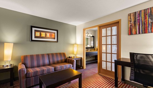 Suite, 1 King Bed, Non Smoking, Refrigerator & Microwave (with Sofabed)