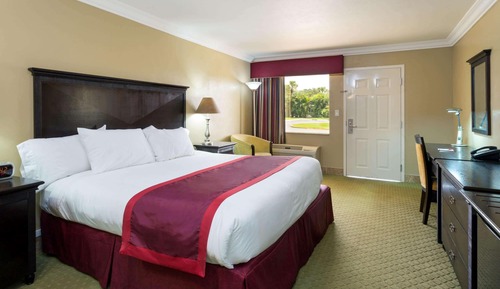 Room, 1 King Bed, Non Smoking