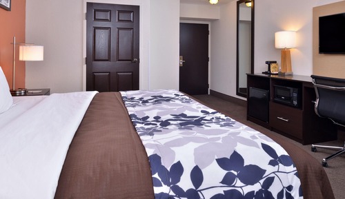 Room, 1 King Bed, Accessible, Non Smoking