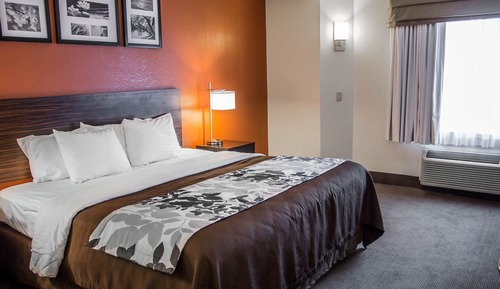 Standard Room, 1 Queen Bed, Non Smoking