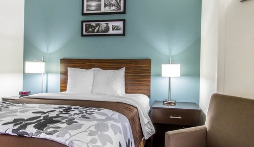 Room, 1 Queen Bed, Accessible, Non Smoking