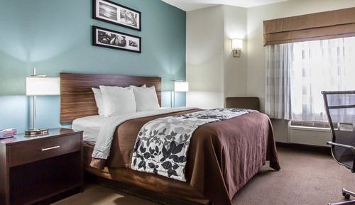 Standard Room, 1 Queen Bed, Non Smoking