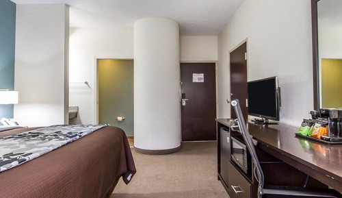 Standard Room, 1 King Bed, Non Smoking