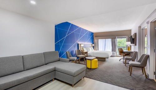 Suite, 1 King Bed, Non Smoking