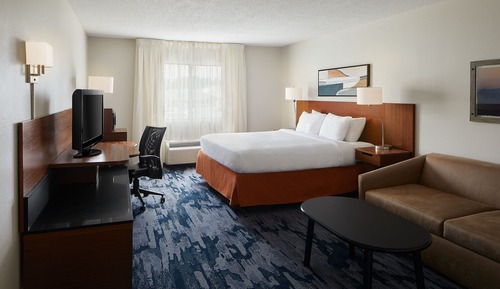 Room, 1 King Bed with Sofa bed