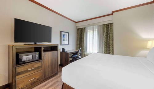 Standard Room, 1 King Bed, Non Smoking, Microwave