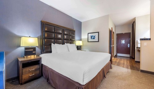 Standard Room, 1 King Bed, Accessible, Non Smoking