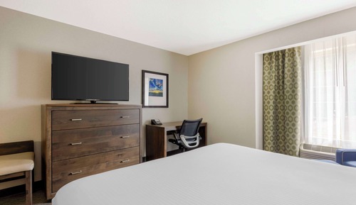 Standard Room, 1 King Bed, Accessible, Non Smoking (Refrigerator & Microwave)