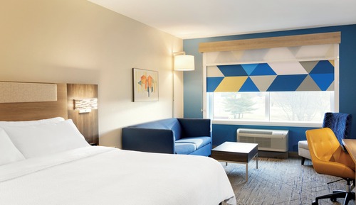 Suite, 1 King Bed with Sofa bed