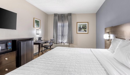Standard Room, 1 King Bed, Non Smoking, Refrigerator & Microwave