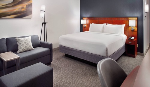 Room, 1 King Bed with Sofa bed (Hearing Accessible)