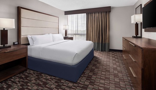 Room, 1 King Bed, Accessible