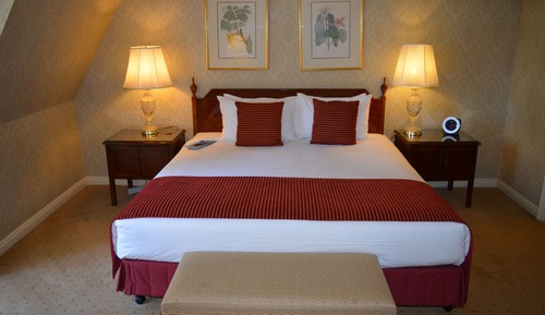 Executive City Suite - Staycation